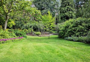 Optimiser l'expérience du jardin à Maignelay-Montigny